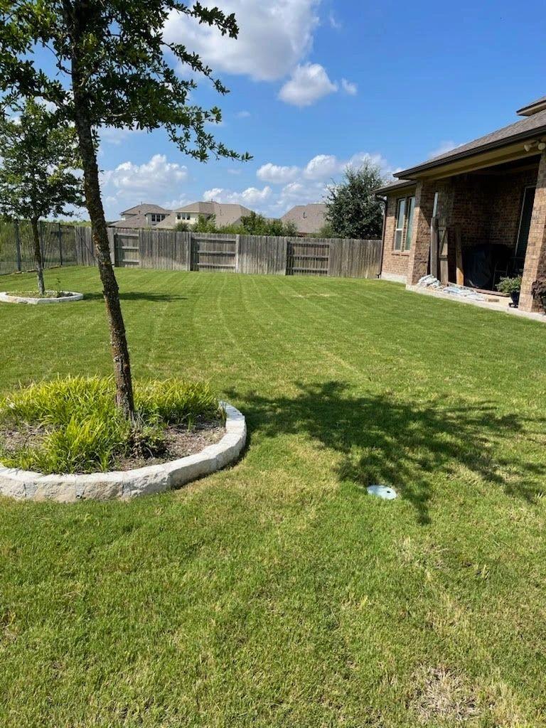 Seasonal cleanup and yard upkeep