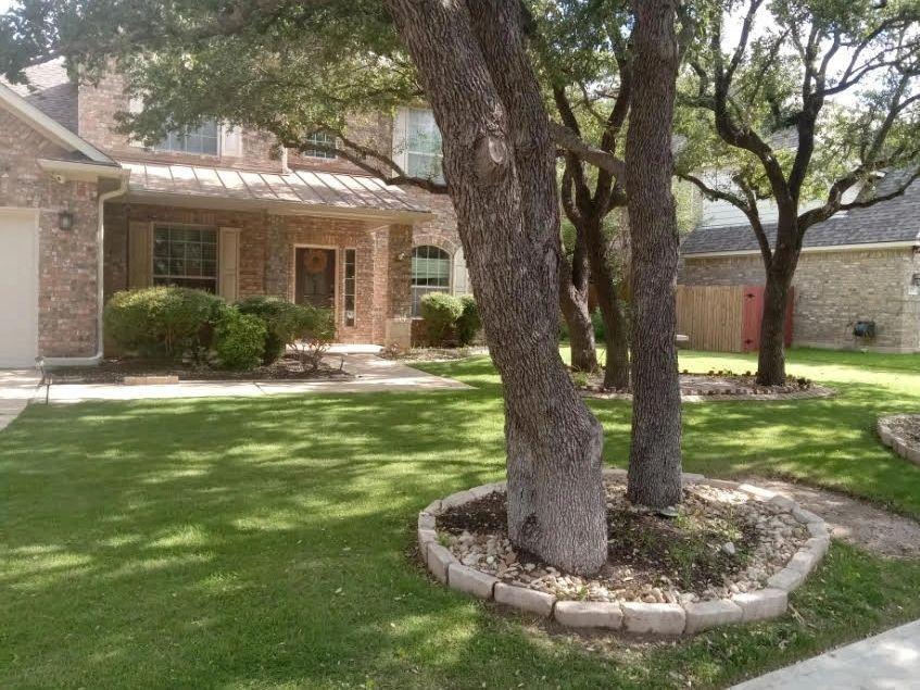 Freshly mowed front yard with a tree ring in the Round Rock area