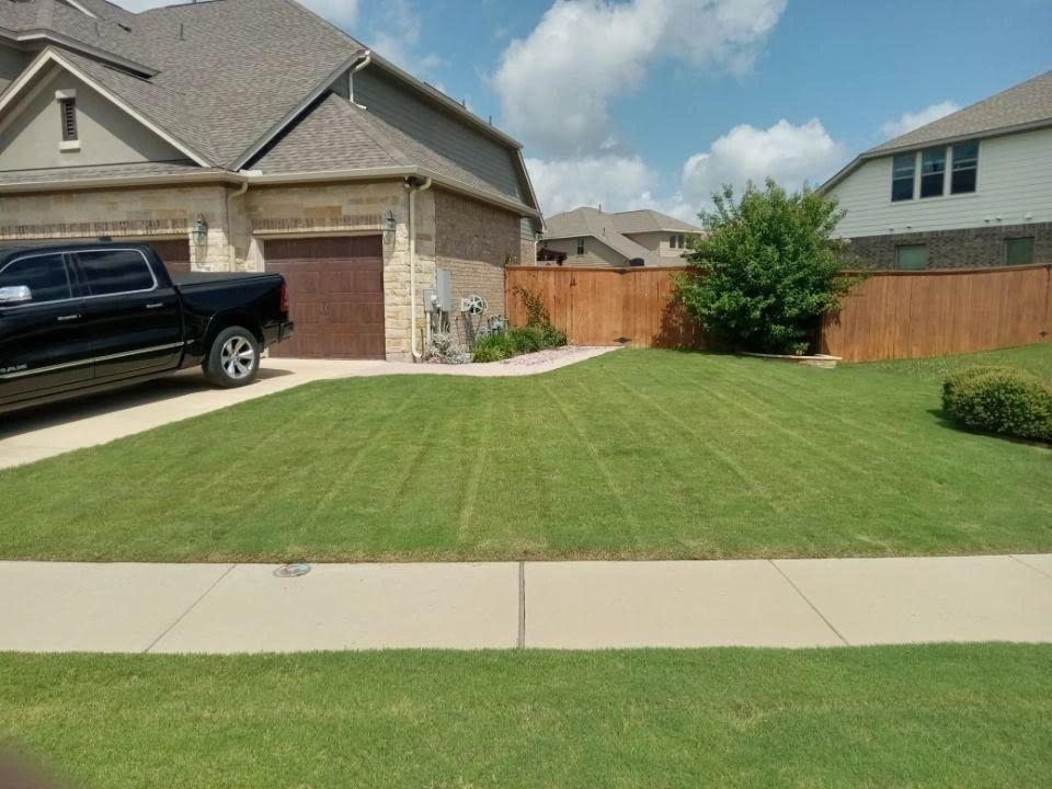 Bush and tree trimming on a residential property